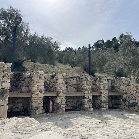 Vina Zarzarrosa Osuna Exteriör bild