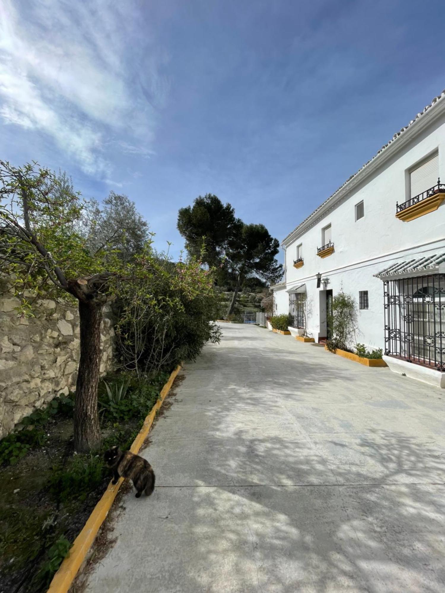 Vina Zarzarrosa Osuna Exteriör bild